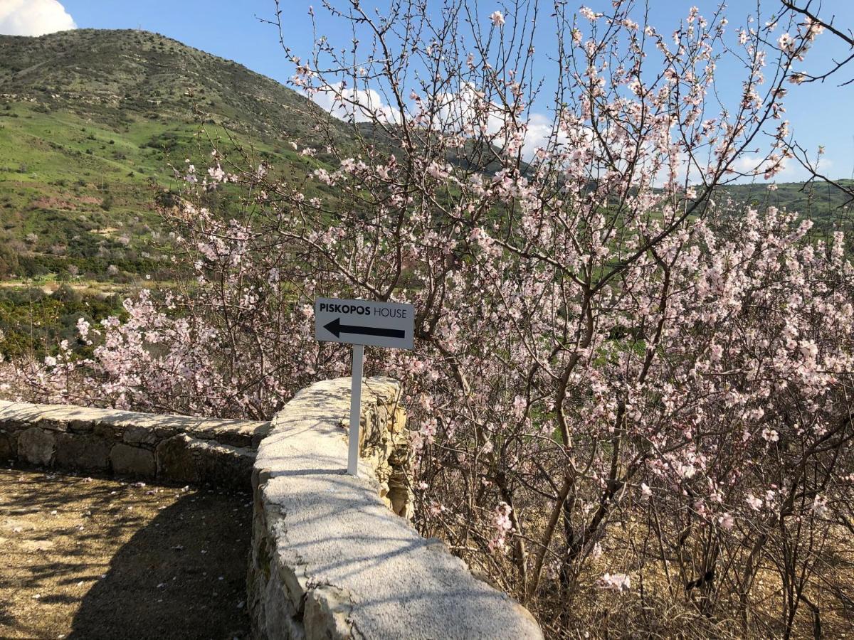 Episkopi  Piskopos Country Houseヴィラ エクステリア 写真